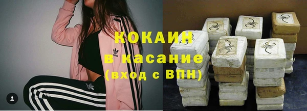 индика Переславль-Залесский