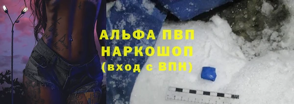 трава Пересвет