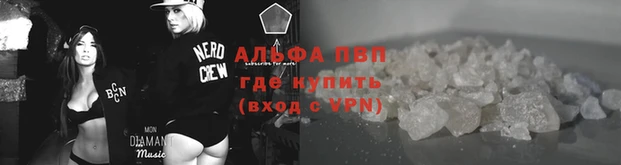 хмурый Елизово