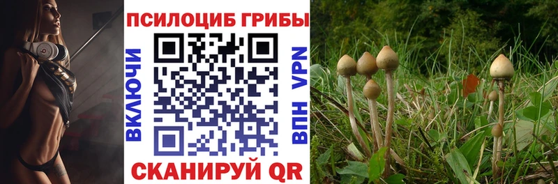 Галлюциногенные грибы мухоморы Приморск