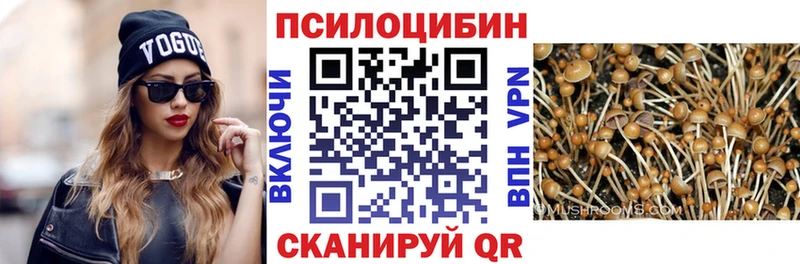 продажа наркотиков  Приморск  Псилоцибиновые грибы мухоморы 