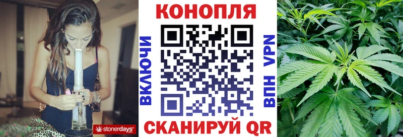Шишки марихуана MAZAR  omg   Приморск  наркотики 